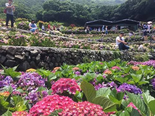 Da Lat City Day Tour By Private Car